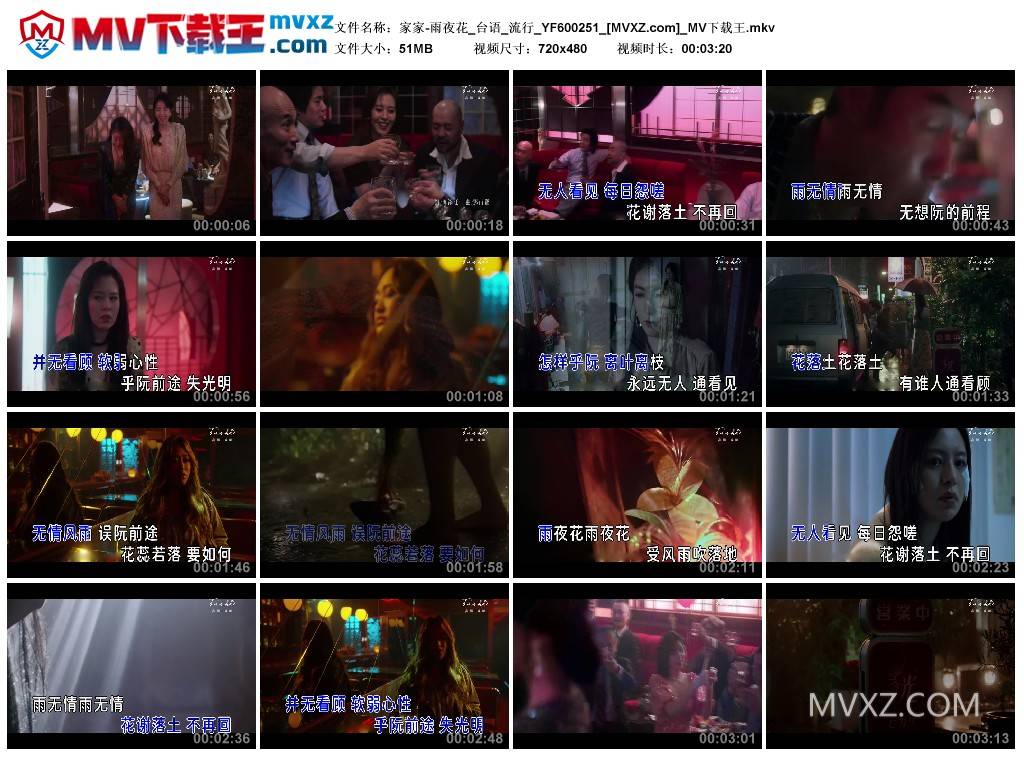 家家-雨夜花_台语_流行_YF600251